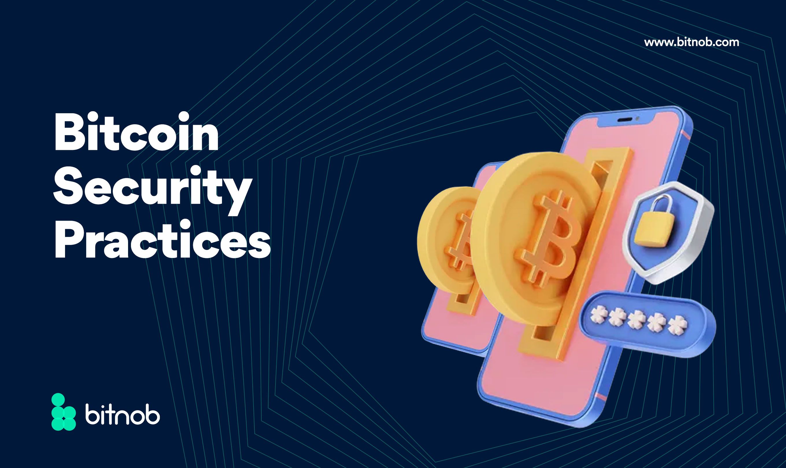 Bitcoin Security Practices